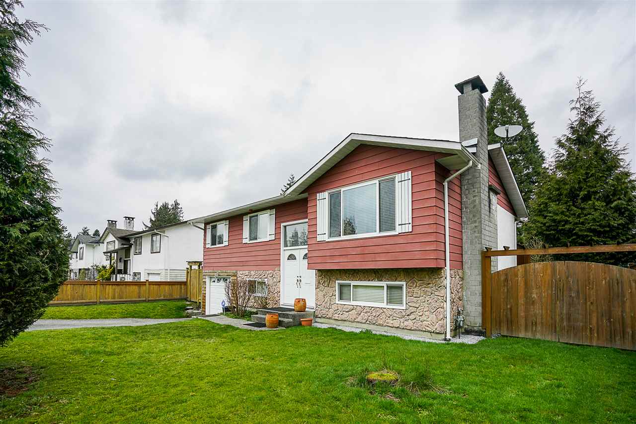 21049 119 AVENUE, MAPLE RIDGE