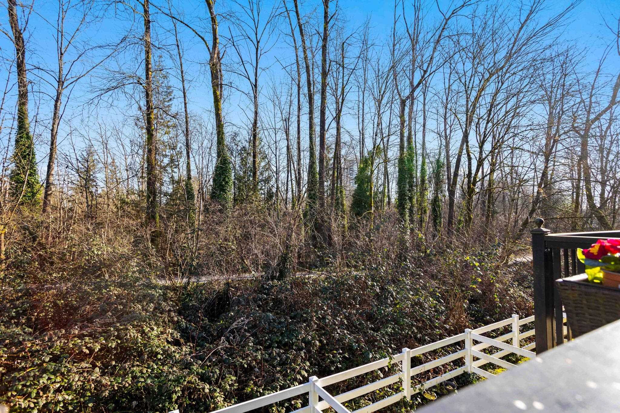 38 2495 Davies Avenue, Port Coquitlam 20