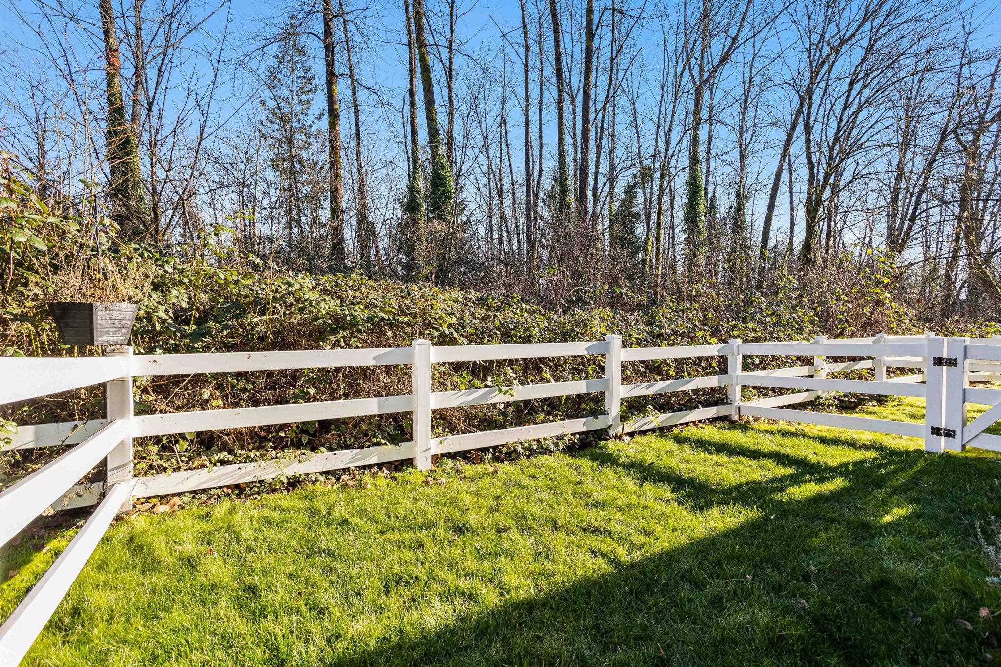 38 2495 Davies Avenue, Port Coquitlam 35